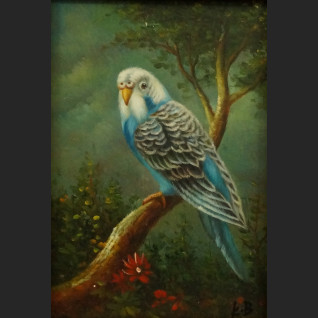 Obraz ptak na gałęzi papużka miniatura Obraz ptak na gałęzi papużka miniatura
