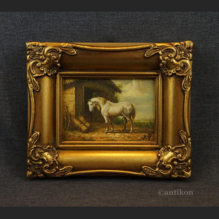 Siwy koń miniatura obraz w ramie 