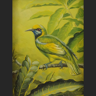 Miniatura olejna w ramie ptak na gałęzi 