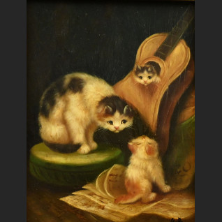 Obraz muzykujące koty z gitarą Obraz muzykujące koty z gitarą