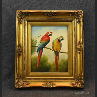 Obraz papuga w stylowej ramie 