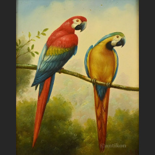 Obraz papuga w stylowej ramie 