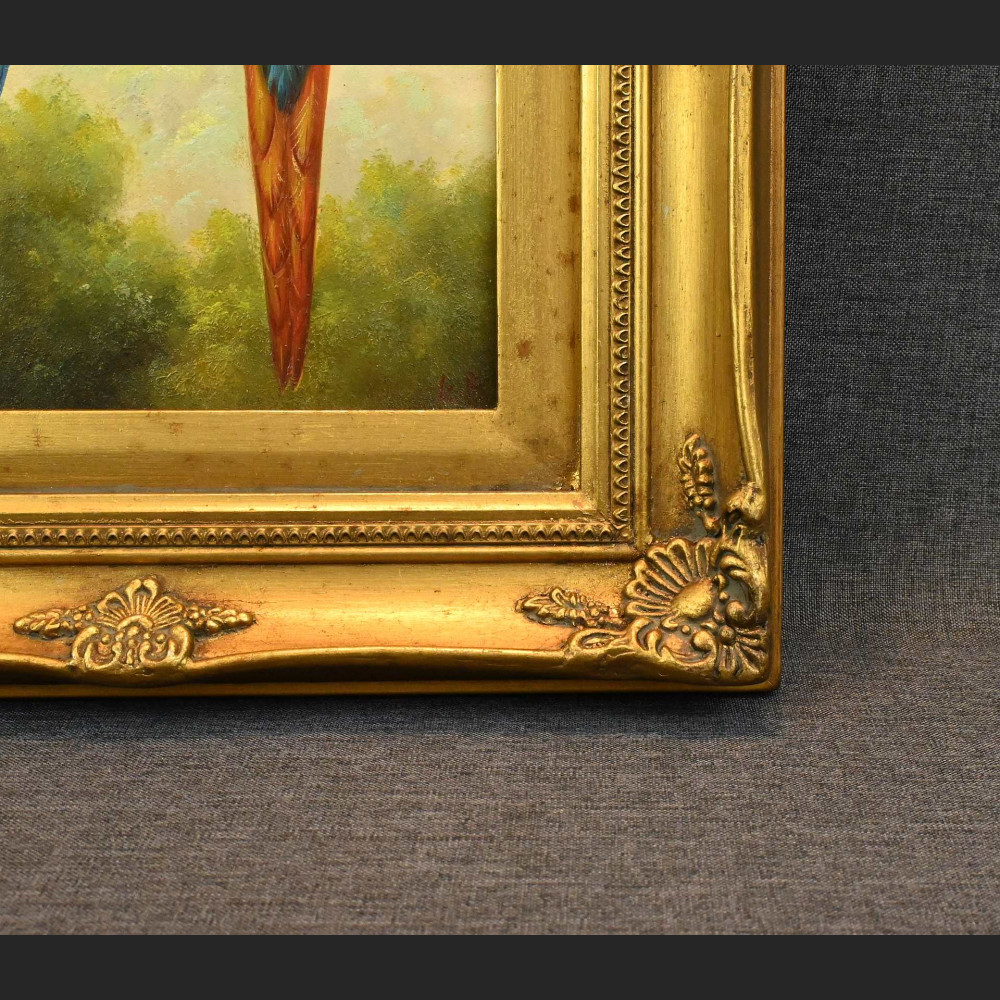 Obraz papuga w stylowej ramie 