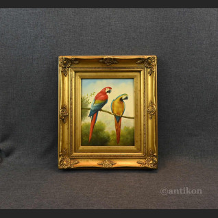 Obraz papuga w stylowej ramie 