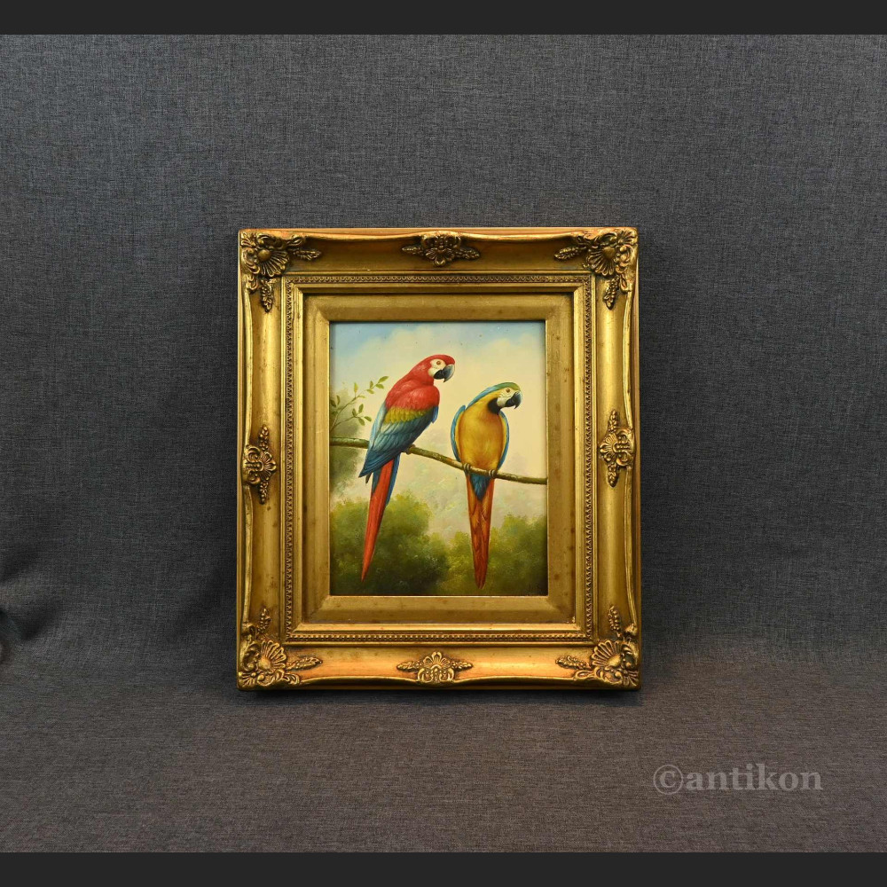Obraz papuga w stylowej ramie 