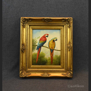 Obraz papuga w stylowej ramie 