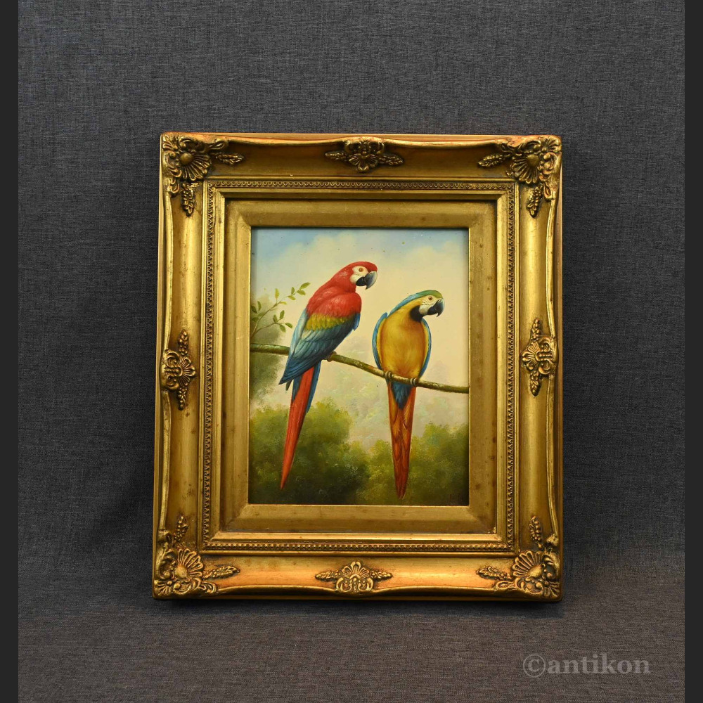 Obraz papuga w stylowej ramie 