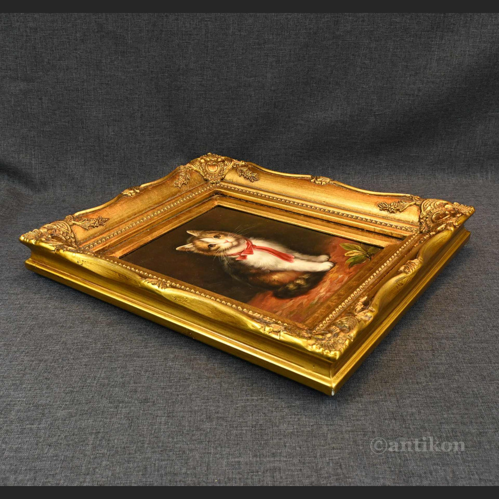 Obraz kota z czerwoną kokardą  Obraz kota z czerwoną kokardą