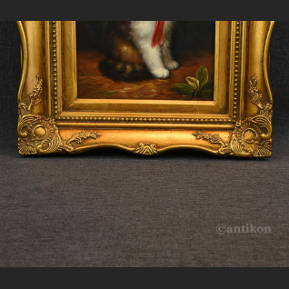 Obraz kota z czerwoną kokardą  Obraz kota z czerwoną kokardą