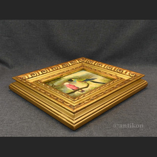 Papuga obraz olejny w ramie Papuga obraz olejny w ramie