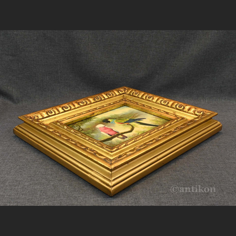 Papuga obraz olejny w ramie Papuga obraz olejny w ramie