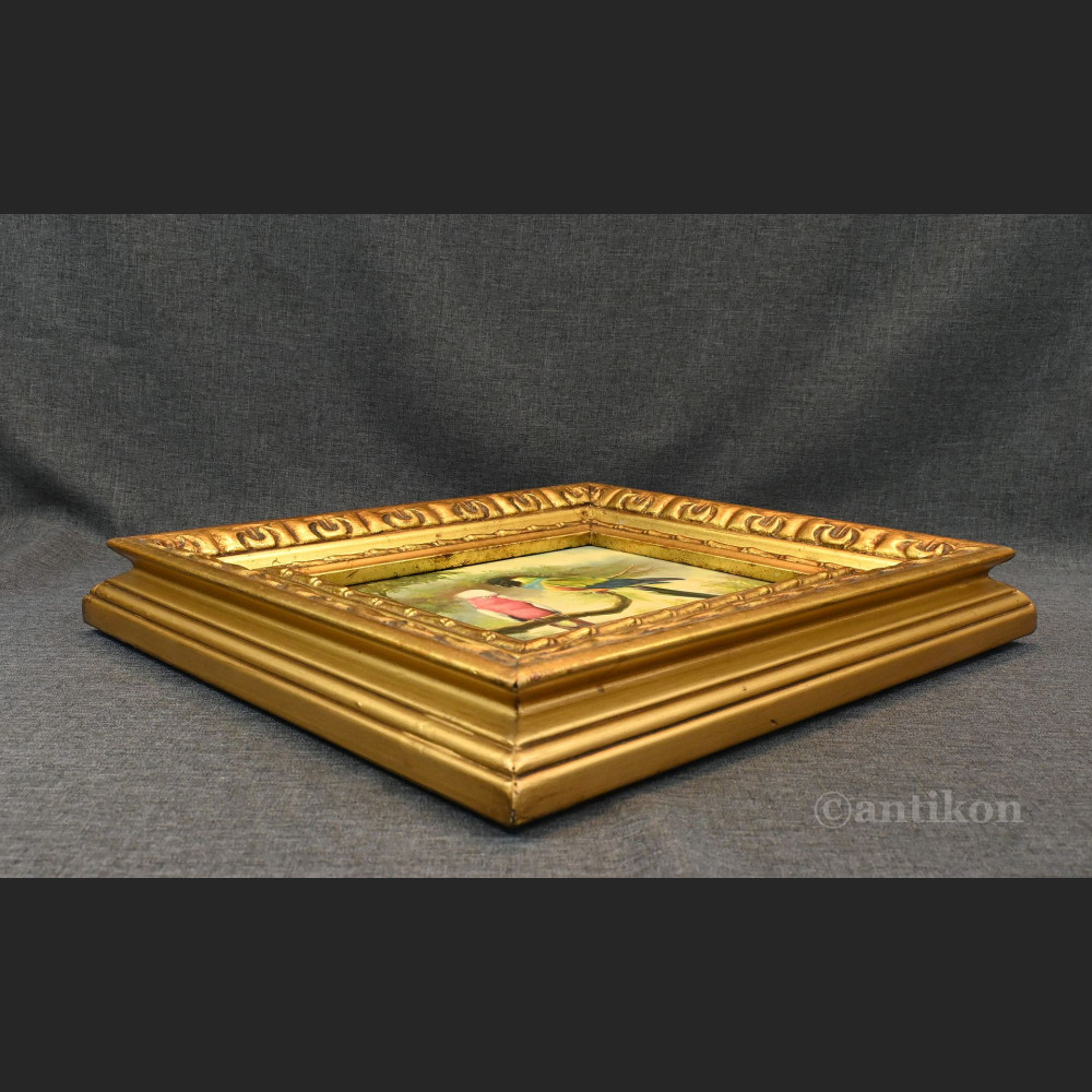 Papuga obraz olejny w ramie Papuga obraz olejny w ramie