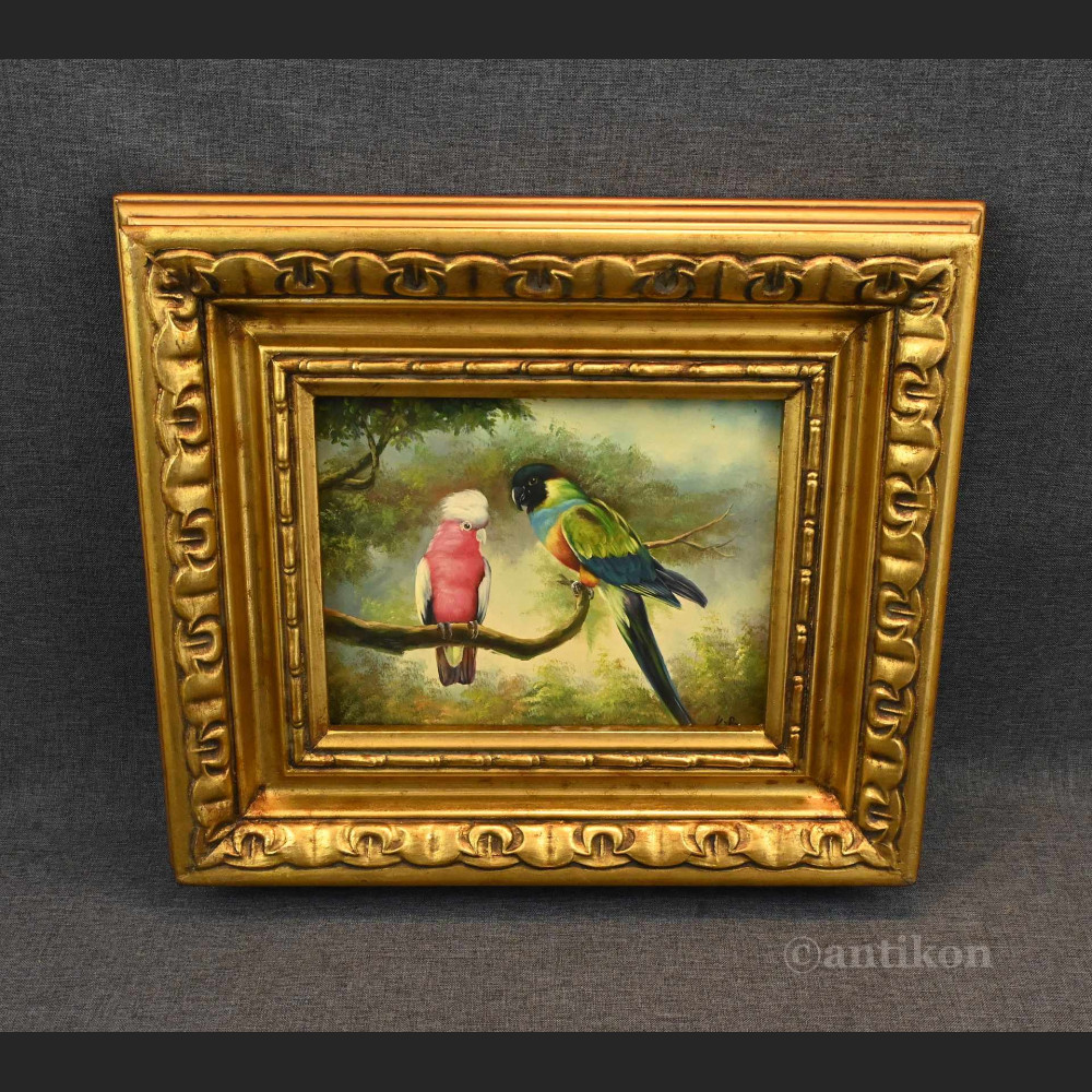 Papuga obraz olejny w ramie Papuga obraz olejny w ramie