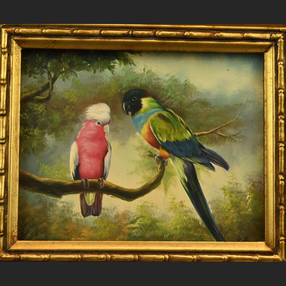 Papuga obraz olejny w ramie Papuga obraz olejny w ramie