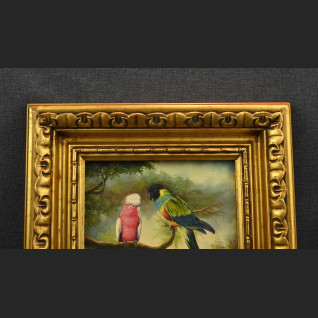 Papuga obraz olejny w ramie Papuga obraz olejny w ramie