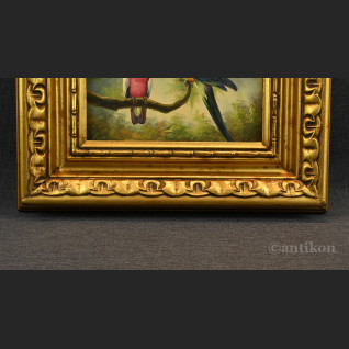 Papuga obraz olejny w ramie Papuga obraz olejny w ramie