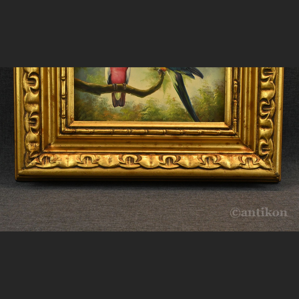 Papuga obraz olejny w ramie Papuga obraz olejny w ramie