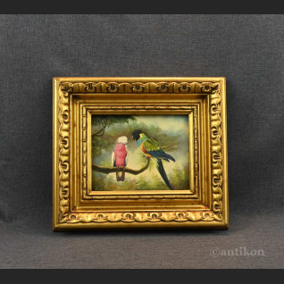 Papuga obraz olejny w ramie Papuga obraz olejny w ramie