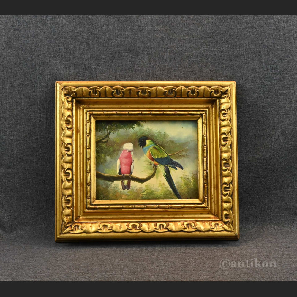 Papuga obraz olejny w ramie Papuga obraz olejny w ramie