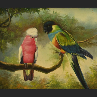 Papuga obraz olejny w ramie Papuga obraz olejny w ramie