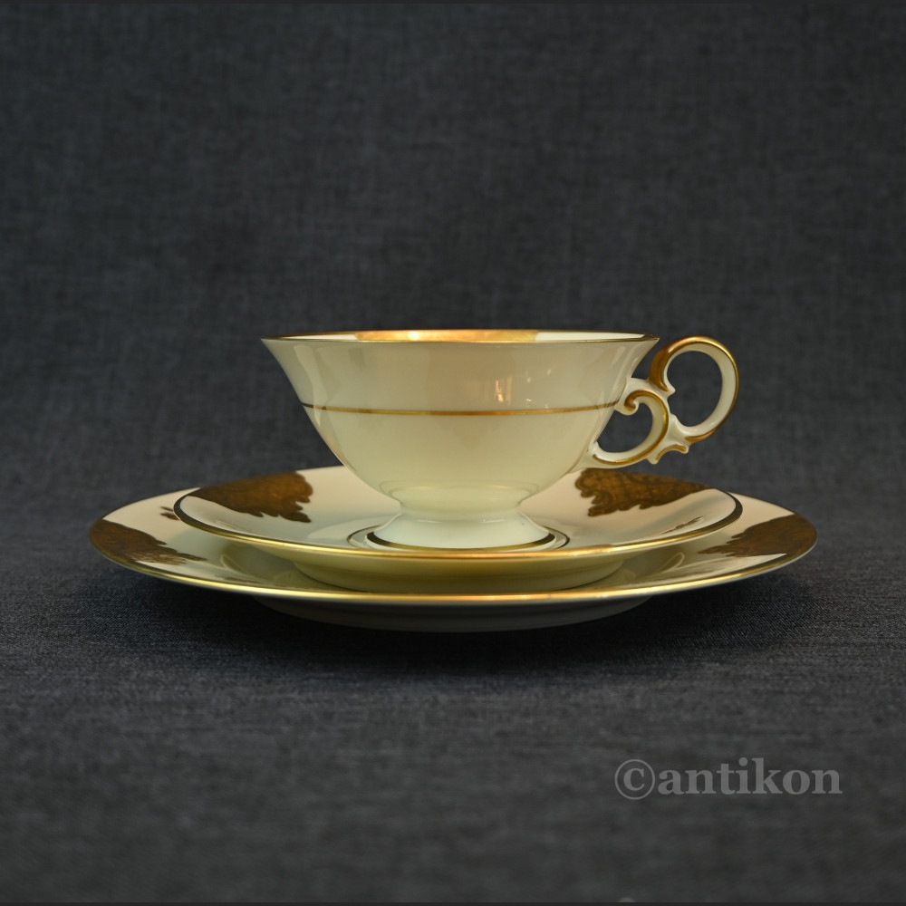 Kolekcjonerska filiżanka ze złotem  Kolekcjonerska filiżanka ze złotem