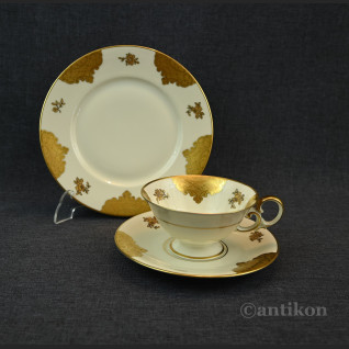 Kolekcjonerska filiżanka ze złotem  Kolekcjonerska filiżanka ze złotem