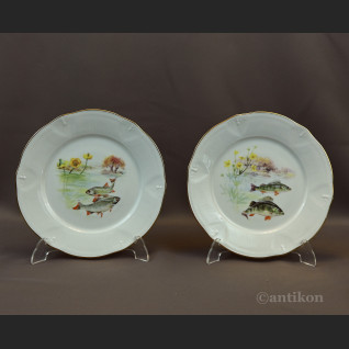 Talerze Limoges do ryb serwis francuski na 12 osób Talerze Limoges do ryb serwis francuski na 12 osób