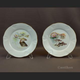 Talerze Limoges do ryb serwis francuski na 12 osób Talerze Limoges do ryb serwis francuski na 12 osób