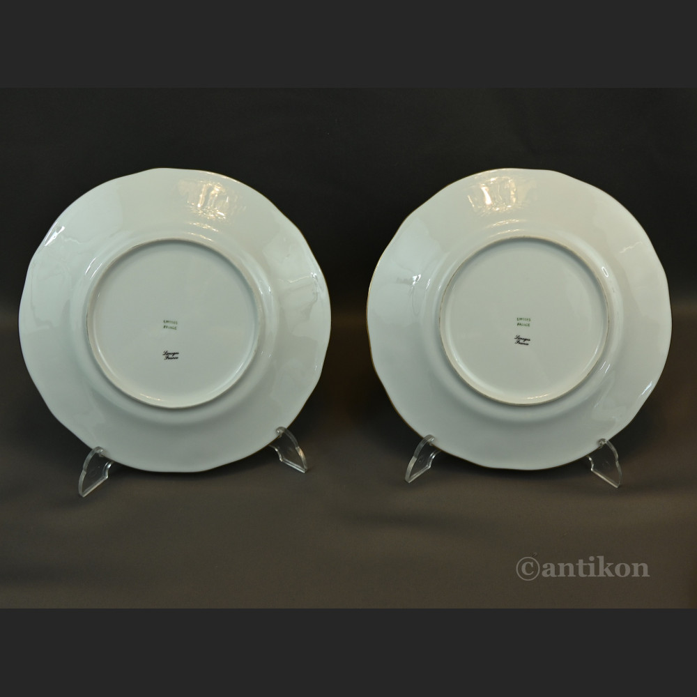 Talerze Limoges do ryb serwis francuski na 12 osób Talerze Limoges do ryb serwis francuski na 12 osób