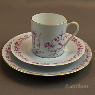 Rosenthal filiżanka do kolekcji 