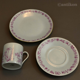 Rosenthal filiżanka do kolekcji 