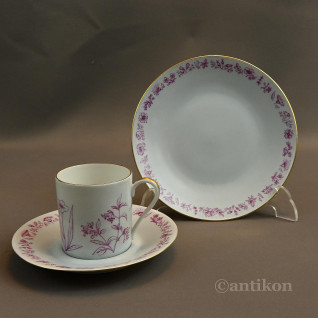 Rosenthal filiżanka do kolekcji 