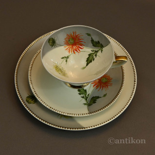 Filiżanka kolekcjonerska gerbery stara Filiżanka kolekcjonerska gerbery stara