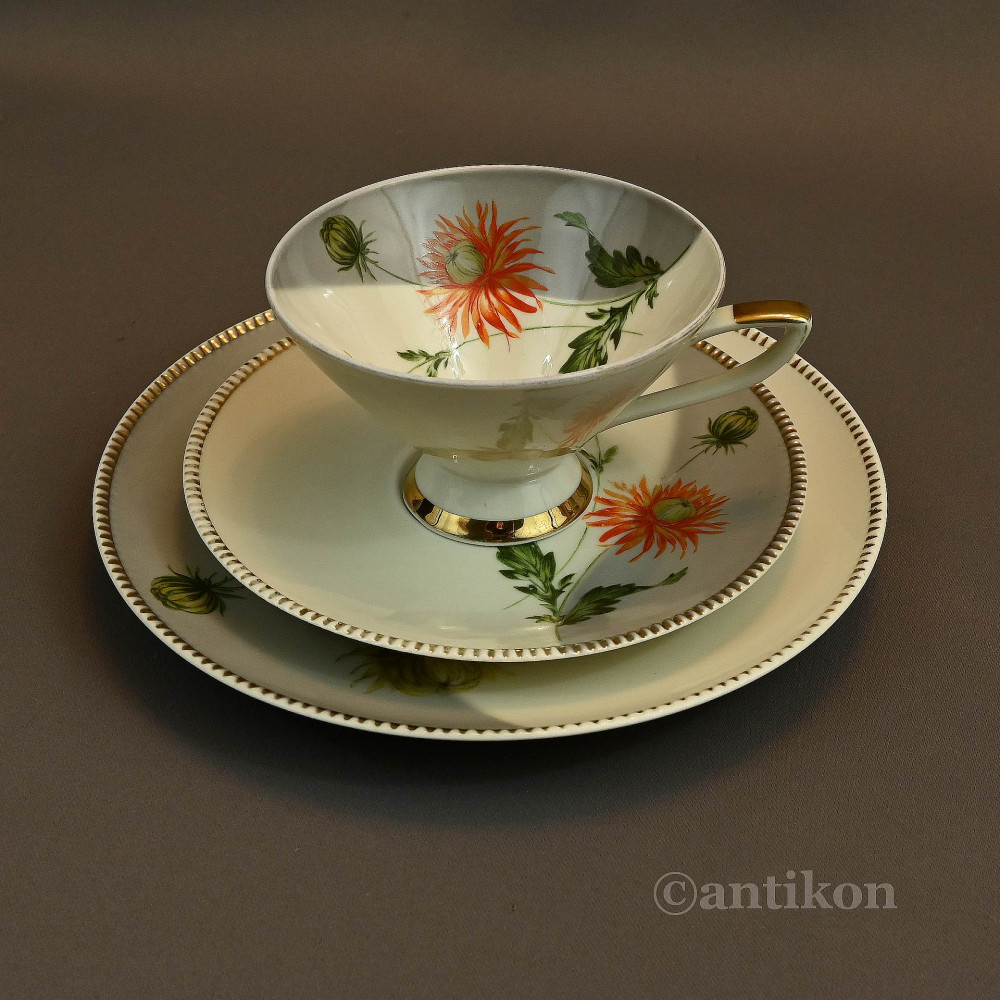 Filiżanka kolekcjonerska gerbery stara Filiżanka kolekcjonerska gerbery stara