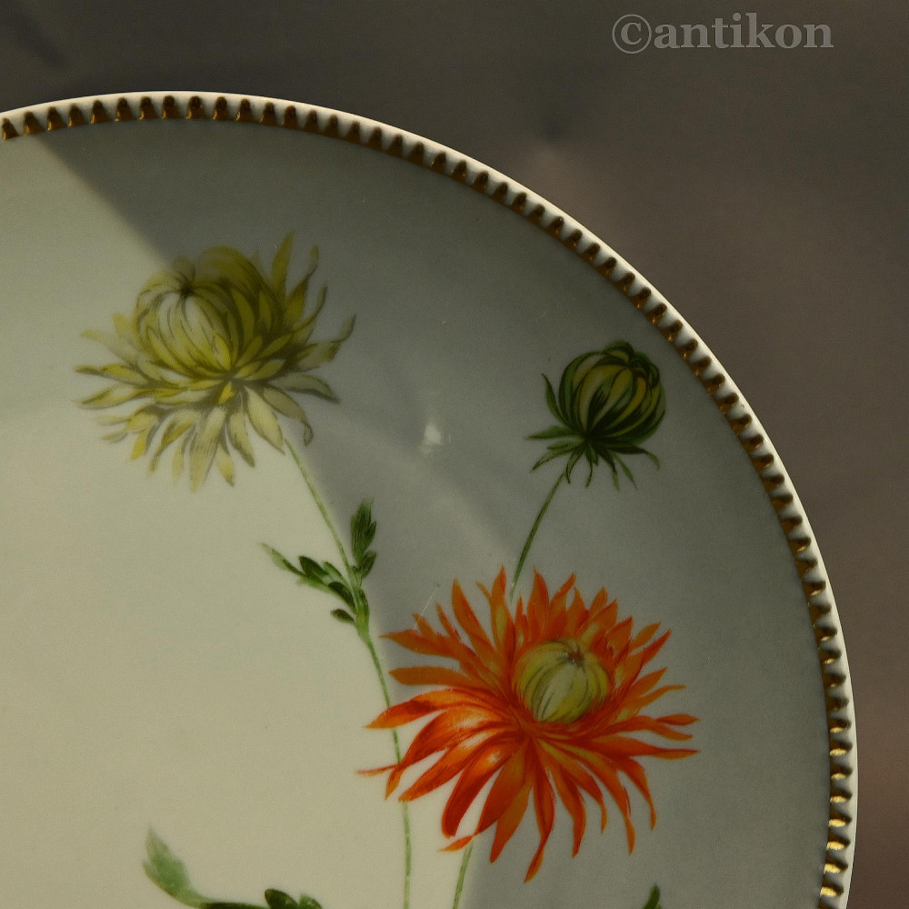 Filiżanka kolekcjonerska gerbery stara Filiżanka kolekcjonerska gerbery stara