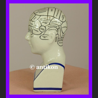 Porcelanowa głowa lekarska mapa mózgu 