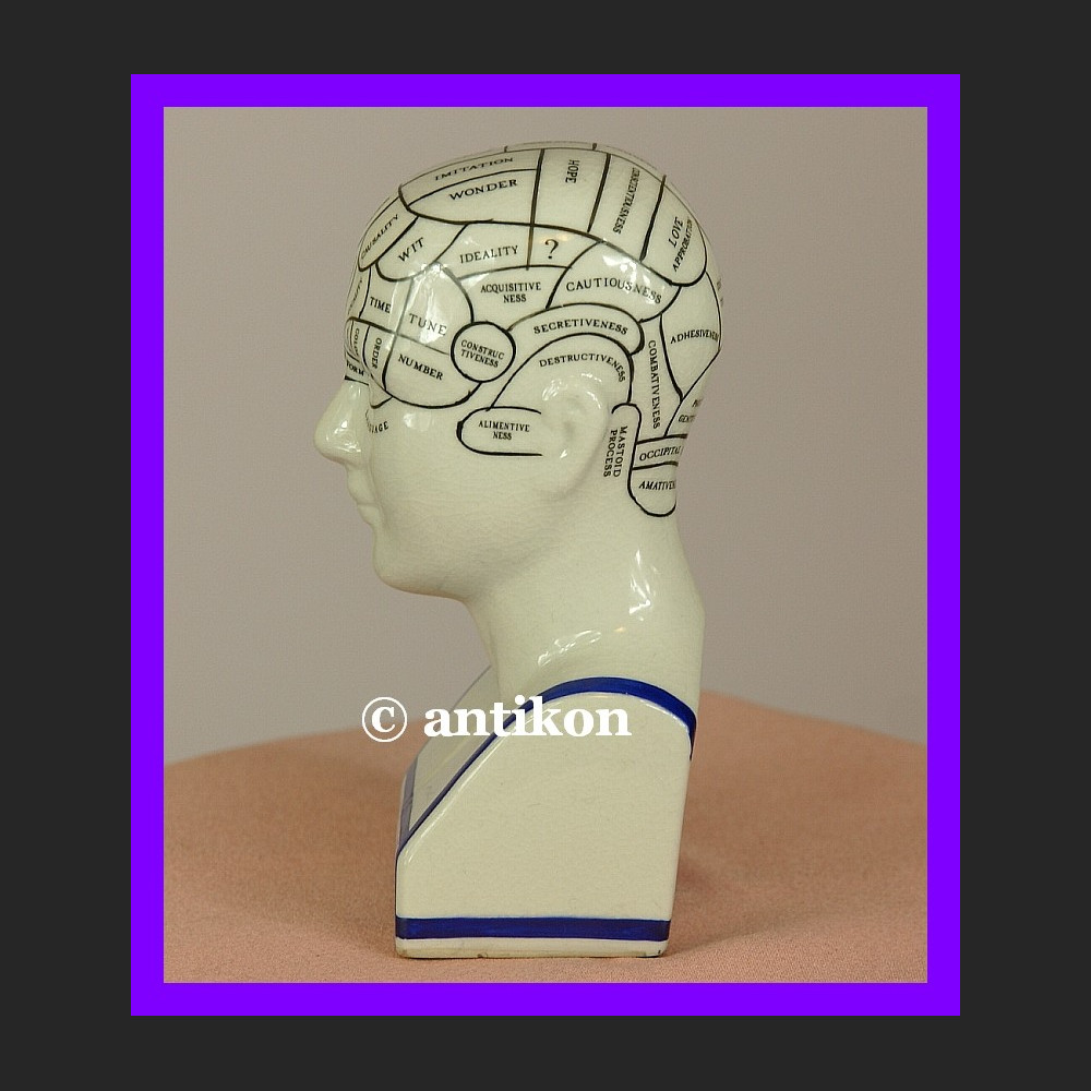 Porcelanowa głowa lekarska mapa mózgu 