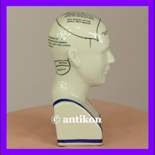 Porcelanowa głowa lekarska mapa mózgu 