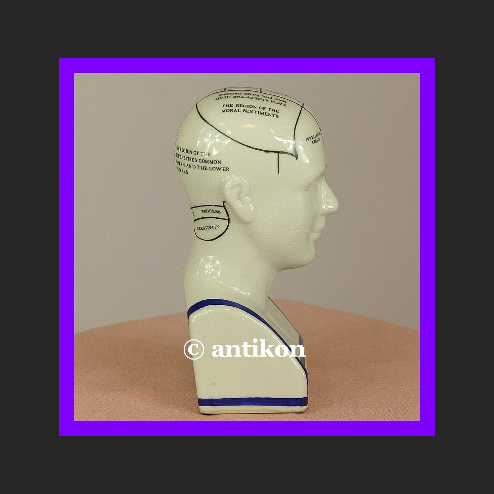 Porcelanowa głowa lekarska mapa mózgu 