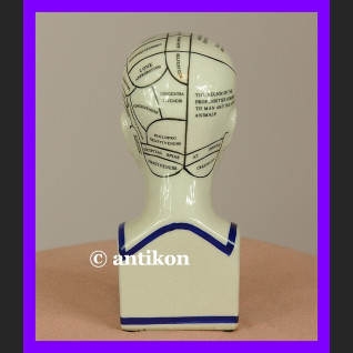 Porcelanowa głowa lekarska mapa mózgu 