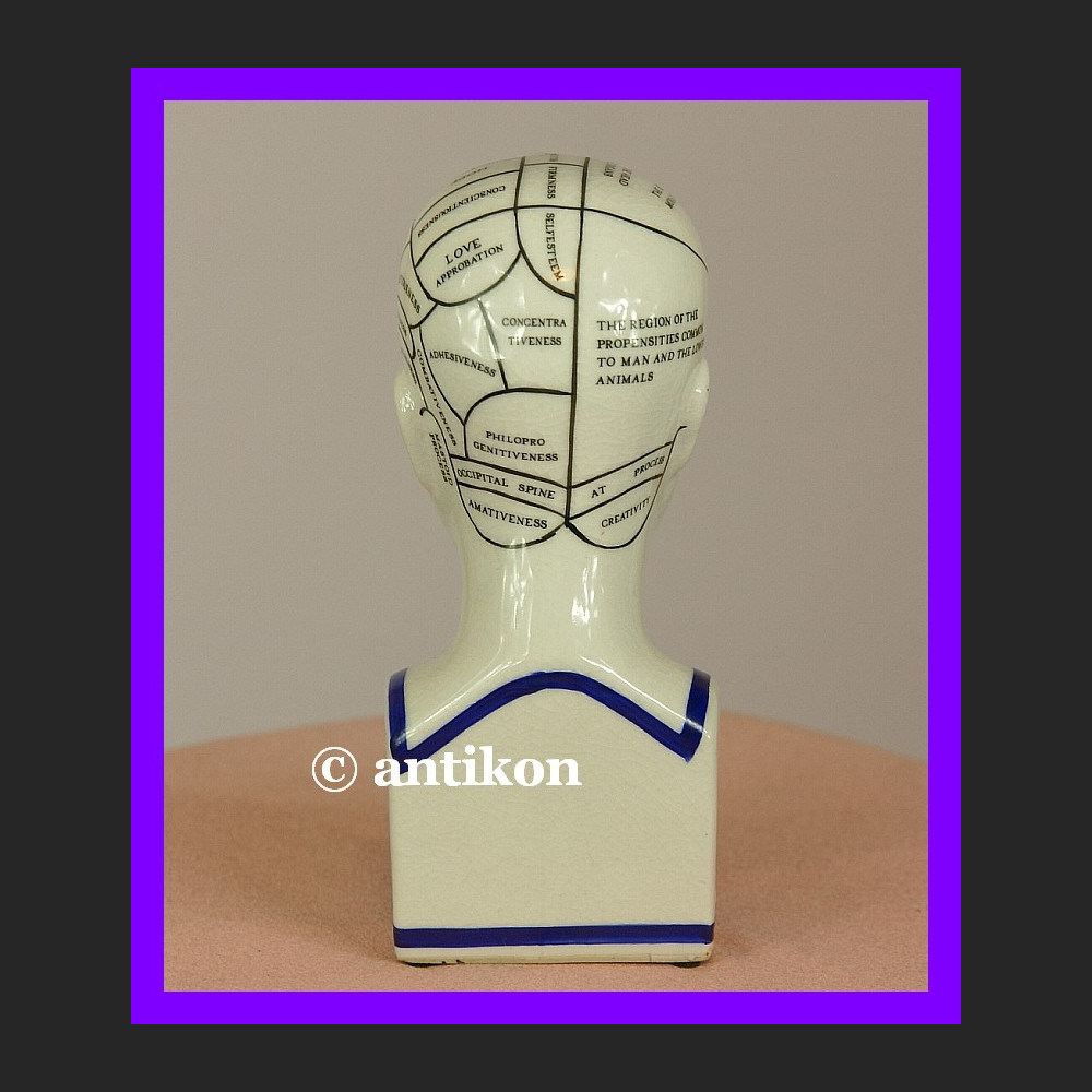 Porcelanowa głowa lekarska mapa mózgu 