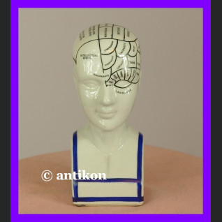 Porcelanowa głowa lekarska mapa mózgu 