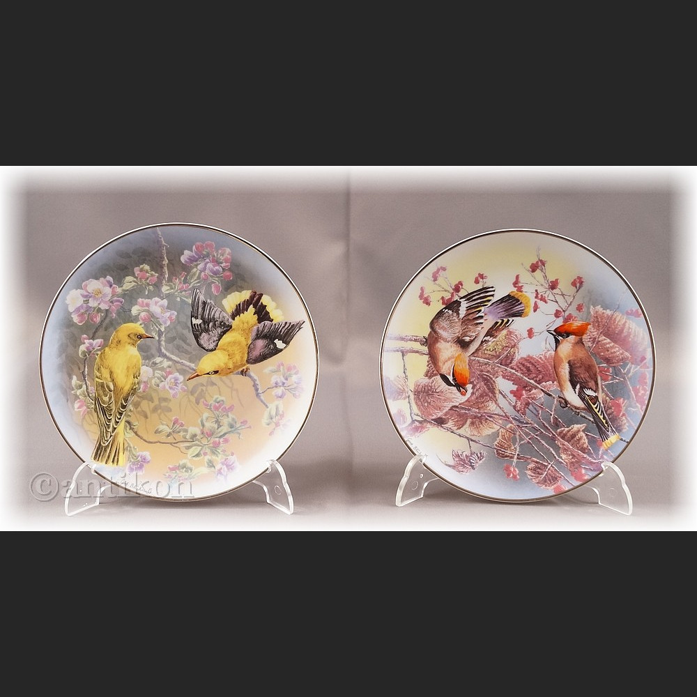 Skarby świata ptaków talerz kolekcjonerski cała seria Rosenthal Skarby świata ptaków talerz kolekcjonerski cała seria Rosenthal