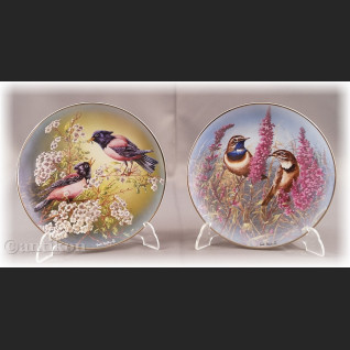 Skarby świata ptaków talerz kolekcjonerski cała seria Rosenthal Skarby świata ptaków talerz kolekcjonerski cała seria Rosenthal