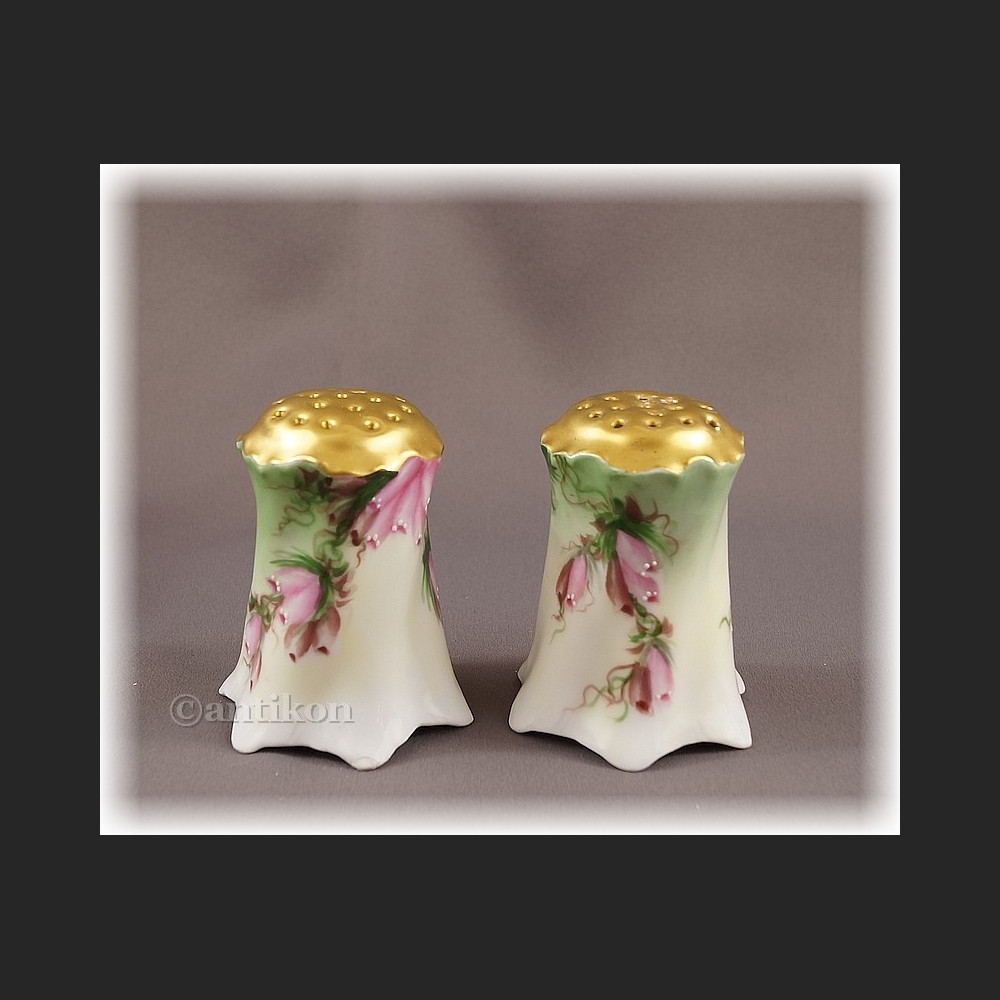 Porcelana Rosenthal unikatowy zestaw do przypraw  solniczka 