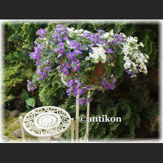 Biały  kwietnik prowansalski potrójny metalowy 