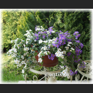 Biały komplet 3 prowansalskich metalowych stołków  Biały komplet 3 prowansalskich metalowych stołków