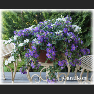 Trzy metalowe kwietniki stołki  prowansalskie metalowe Trzy metalowe kwietniki stołki  prowansalskie metalowe