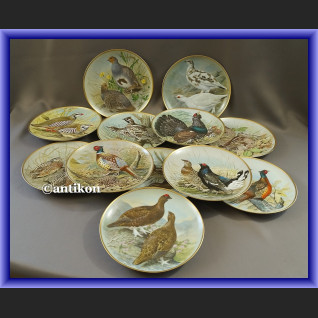Limoges talerze kolekcjonerskie Ptaki Świata 12 sztuk Limoges talerze kolekcjonerskie Ptaki Świata 12 sztuk