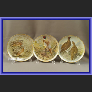 Limoges talerze kolekcjonerskie Ptaki Świata 12 sztuk Limoges talerze kolekcjonerskie Ptaki Świata 12 sztuk